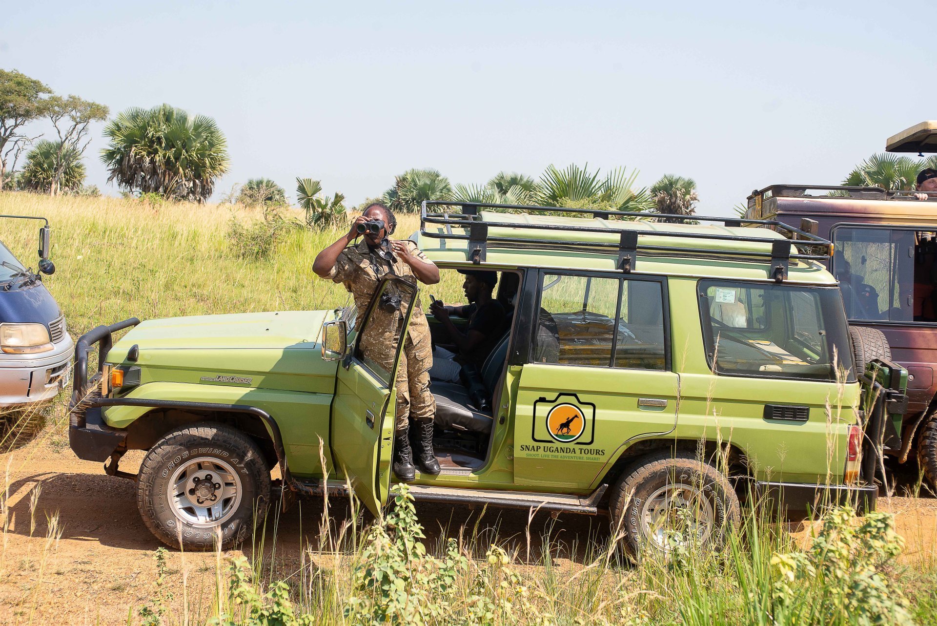 Media and Creative Services