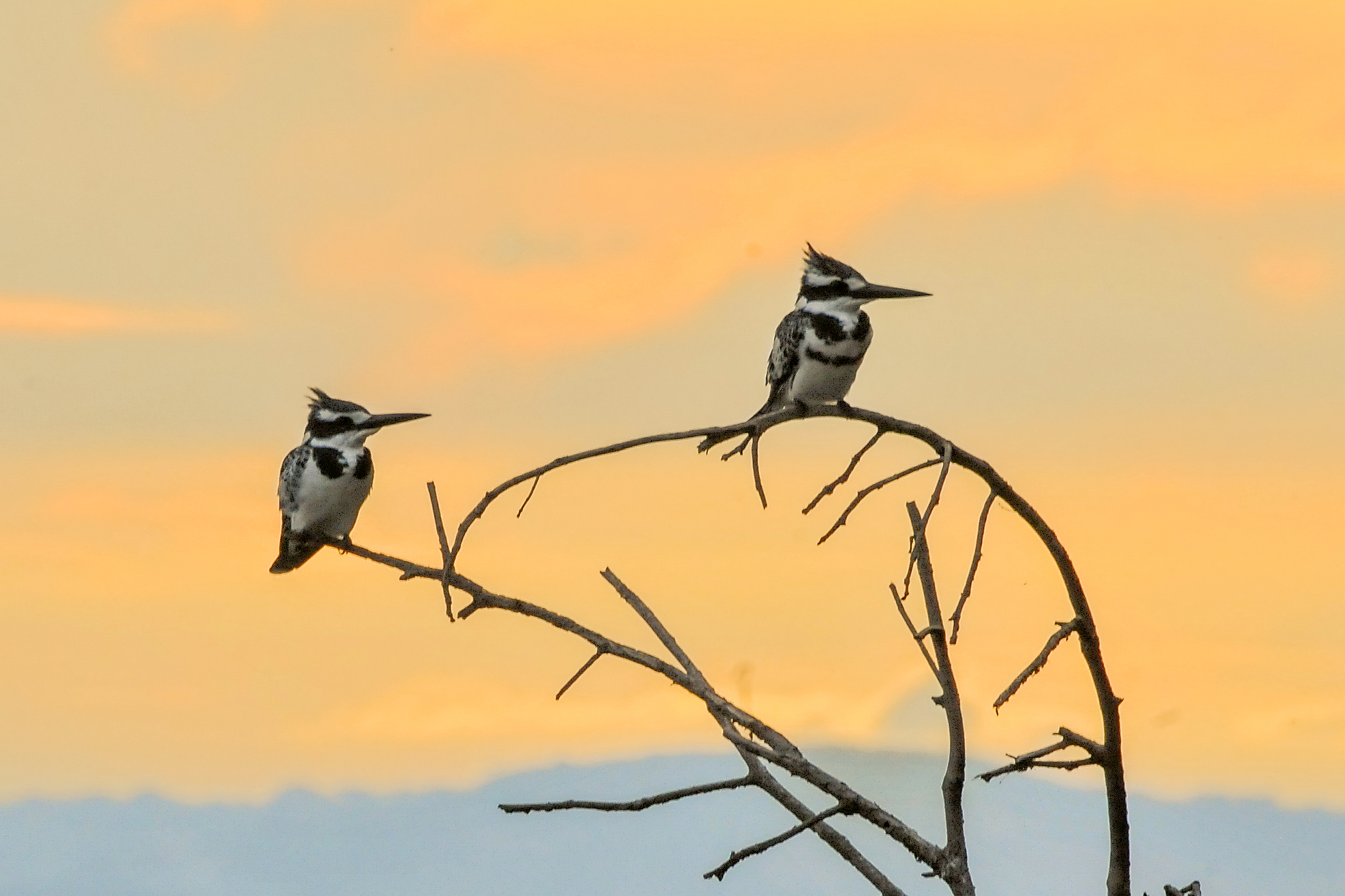 33-Day Uganda's Grand Traverse