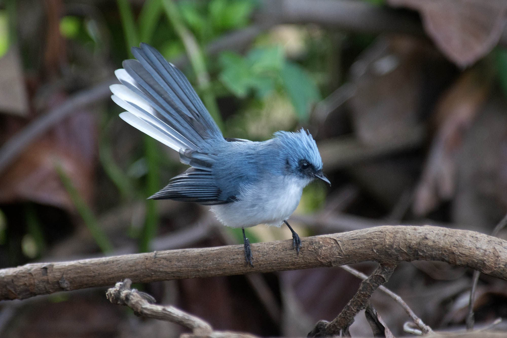 33-Day Uganda's Grand Traverse