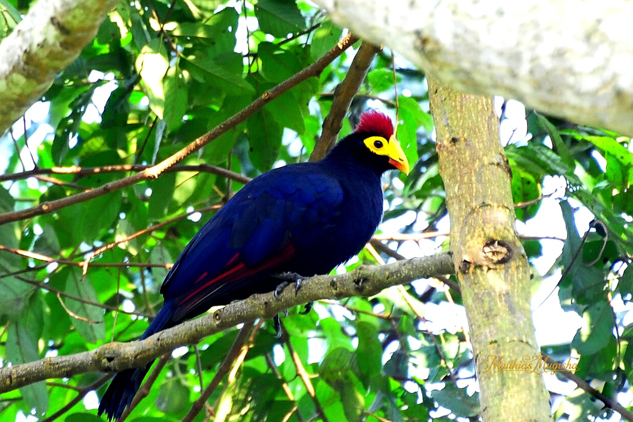 9-Day Birding & Photography Adventure